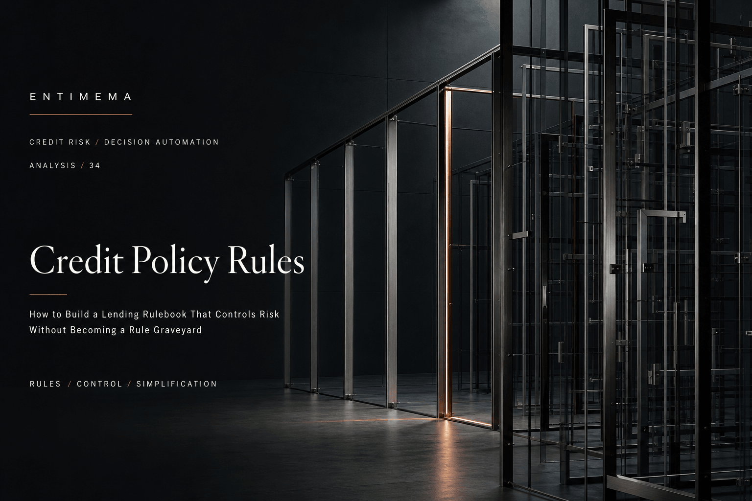 Entimema Insights cover showing dense overlapping glass and steel gates resolving into a few essential controlled policy boundaries.